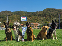 A képen a magyar kutyák