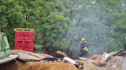 A képen Karma munka közben