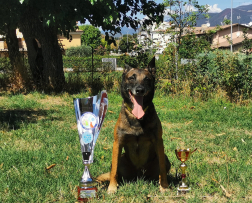 A képen Karma, mindkét oldalán egy-egy serleg