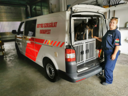 A képen Leczki Sarolta a második kerületi parancsnokságon, a furgon hátuljában a kutyák