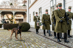 Fogadás a Sándor-palotában