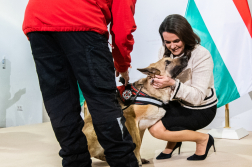 Fogadás a Sándor-palotában