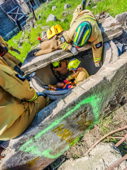 Romkutatás pillanatai