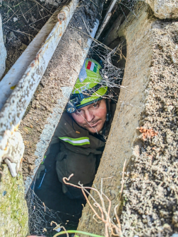 Romkutatás pillanatai