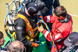 Katasztrófavédelem