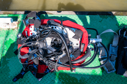 Katasztrófavédelem