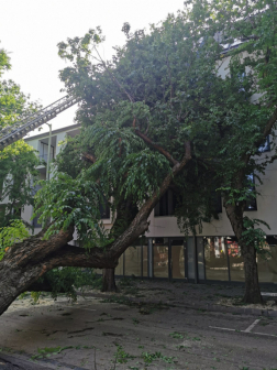 Katasztrófavédelem