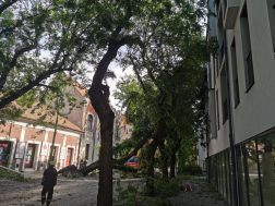 Katasztrófavédelem