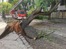 Katasztrófavédelem