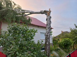 Katasztrófavédelem