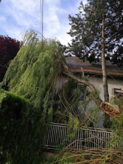 Katasztrófavédelem