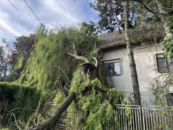 Katasztrófavédelem