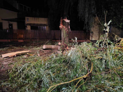 Katasztrófavédelem