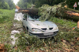 Katasztrófavédelem