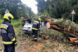 Katasztrófavédelem