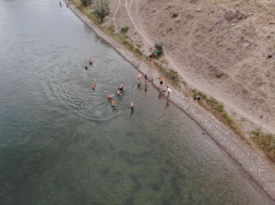 Katasztrófavédelem