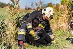 Katasztrófavédelem