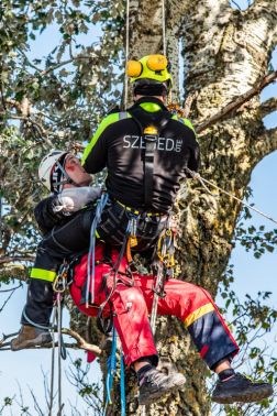 Katasztrófavédelem