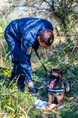 Katasztrófavédelem