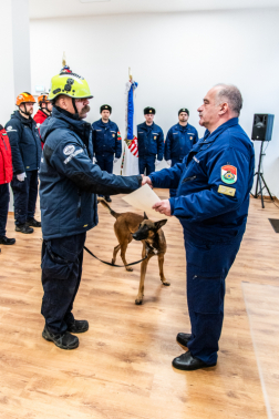 Katasztrófavédelem