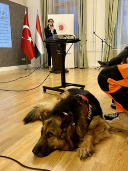 Köszönet és hála