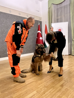 Köszönet és hála