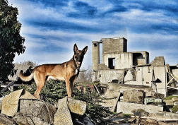 gyakorlat pillanatai