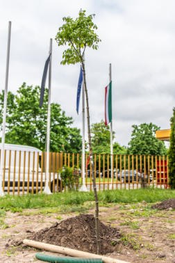 Katasztrófavédelem