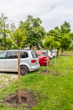 Katasztrófavédelem