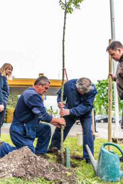 Katasztrófavédelem