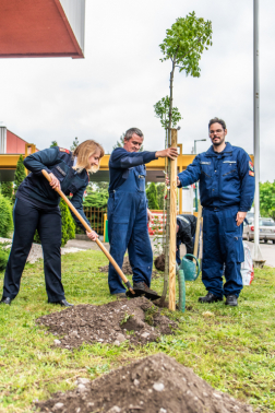 Katasztrófavédelem