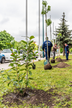 Katasztrófavédelem