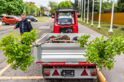 Katasztrófavédelem