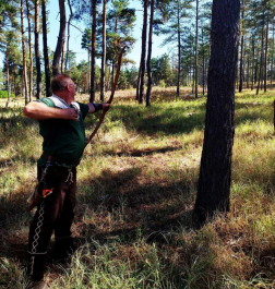 Katasztrófavédelem