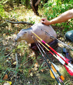 Katasztrófavédelem