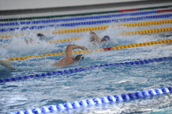 Katasztrófavédelem