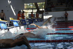 Katasztrófavédelem