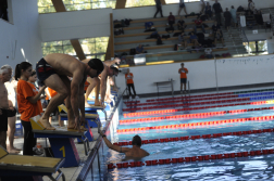 Katasztrófavédelem