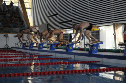 Katasztrófavédelem