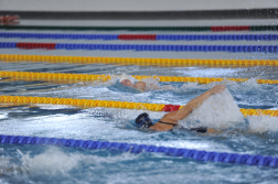 Katasztrófavédelem