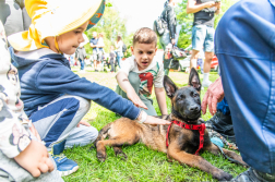 Katasztrófavédelem