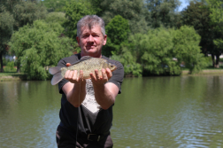 Katasztrófavédelem