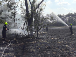 Katasztrófavédelem