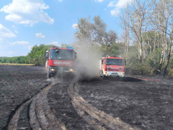 Katasztrófavédelem