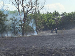 Katasztrófavédelem