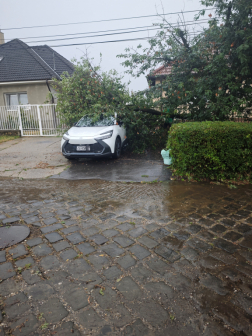 Katasztrófavédelem