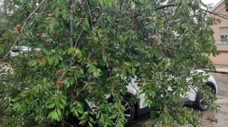 Katasztrófavédelem