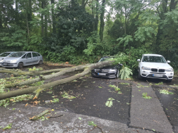 Katasztrófavédelem