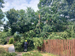 Katasztrófavédelem