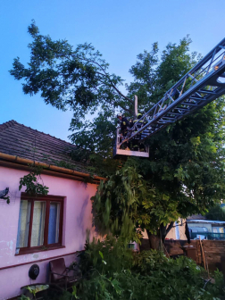 Katasztrófavédelem